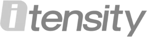 itensity 1.webp
