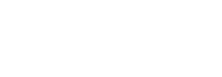 Sole Ink
